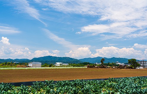 天地替え